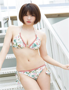 九色鹿动画片-12猴子军